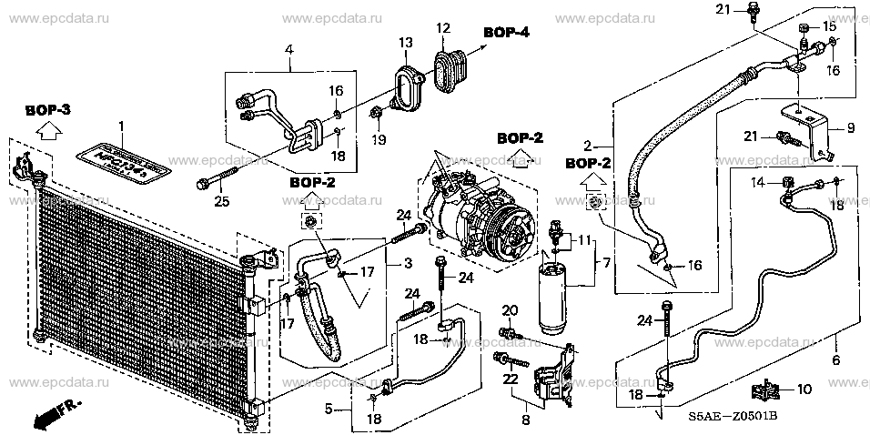 Scheme 5